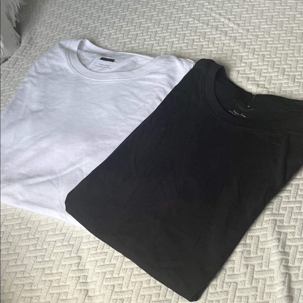 2 Everlane Slim Fit Crewneck White and Black Short Sleeve Tees, new